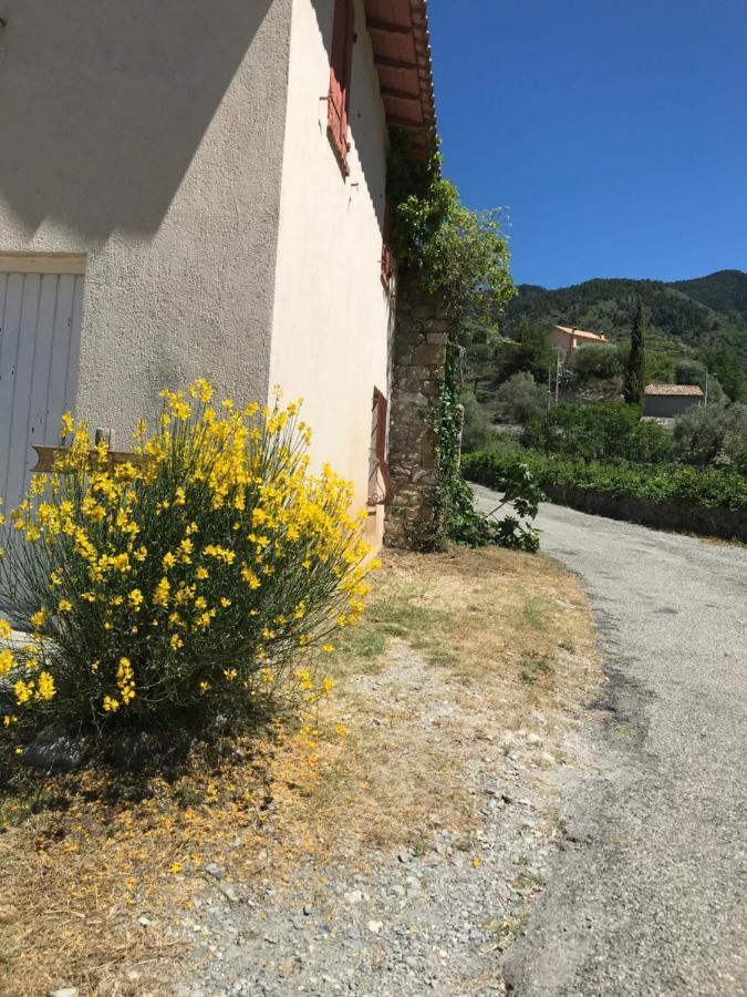 Vila La Ferme Des Cailletiers Chez Marco Lucéram Exteriér fotografie