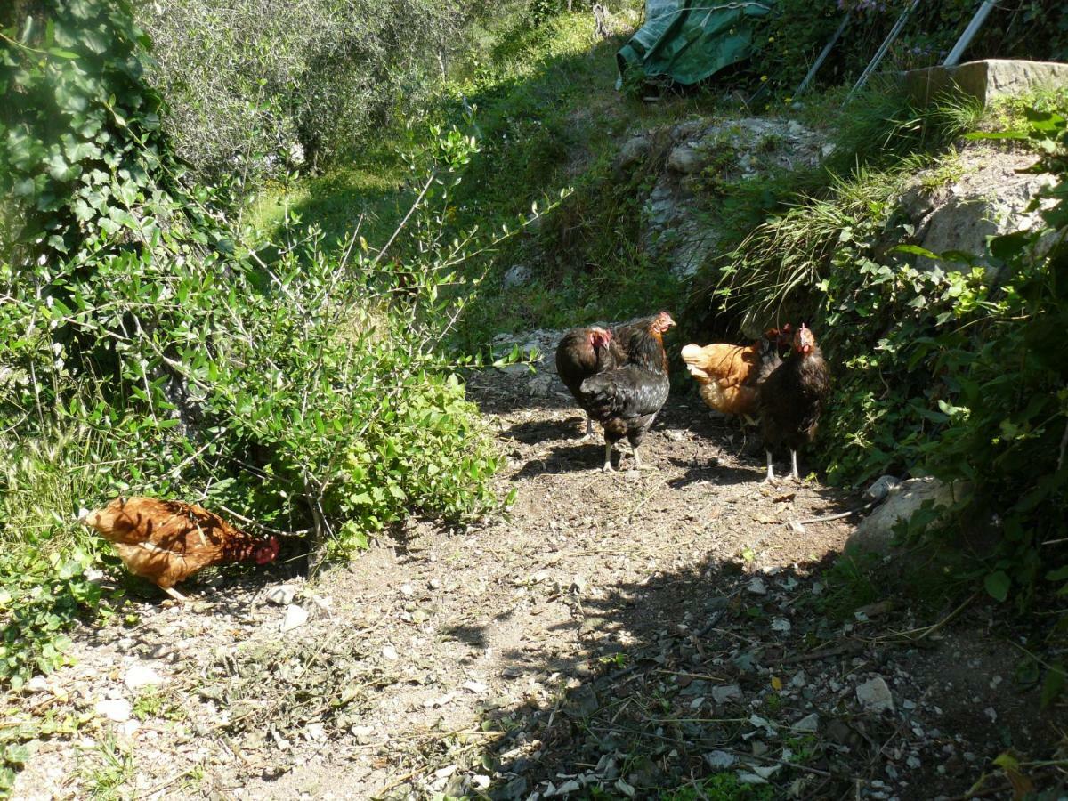 Vila La Ferme Des Cailletiers Chez Marco Lucéram Exteriér fotografie